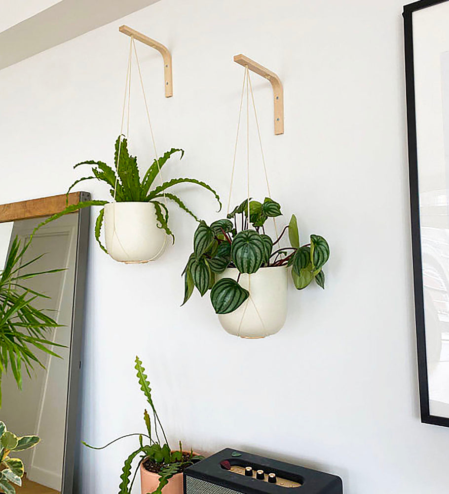 Wall Plant Hanger Bringing Nature Inside With Natural Materials