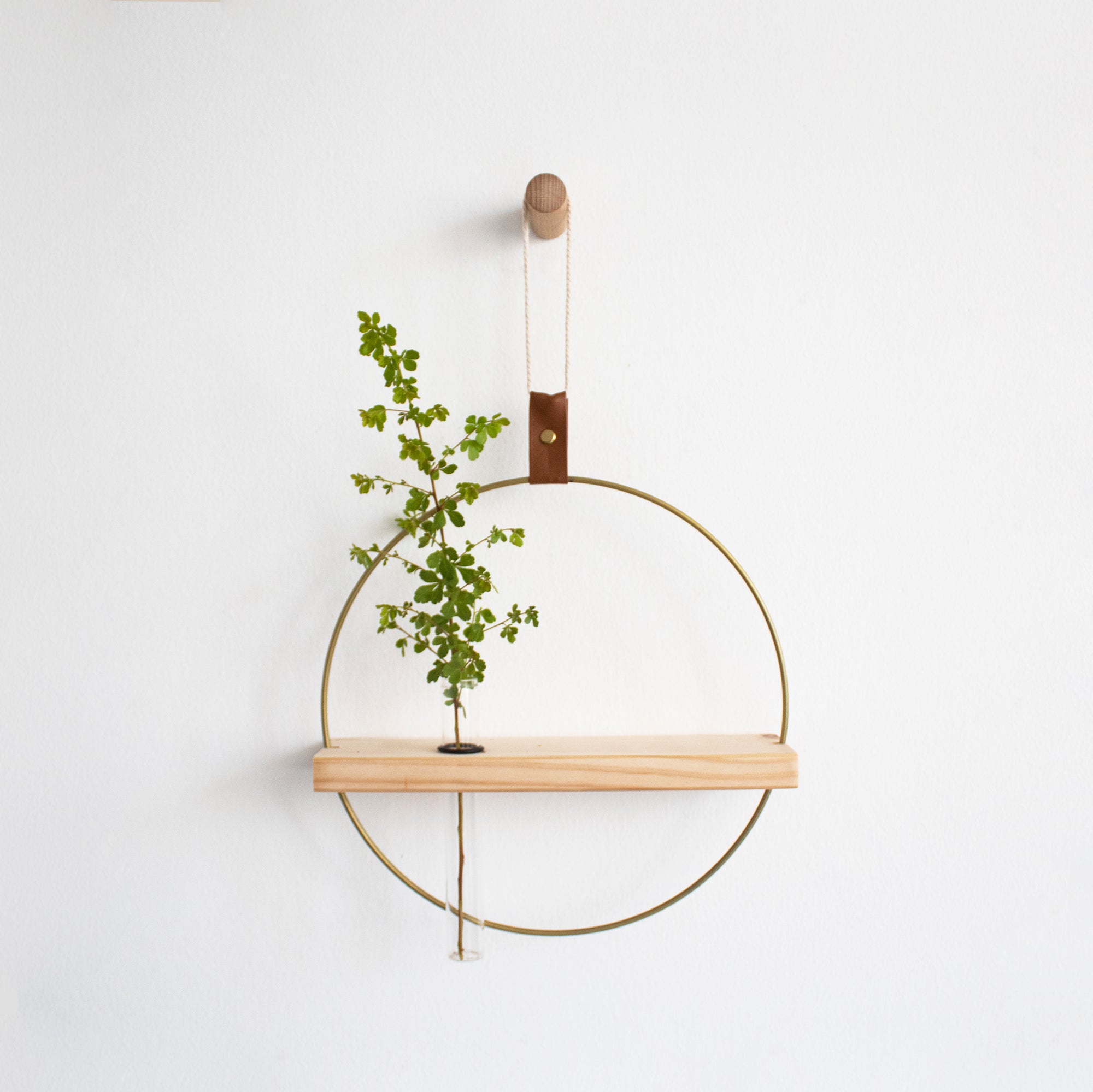 Propagating Shelf Gold