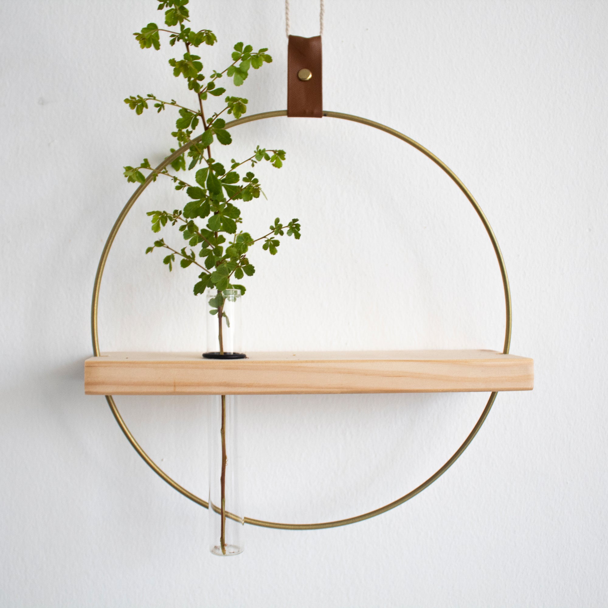 Propagating Shelf Gold