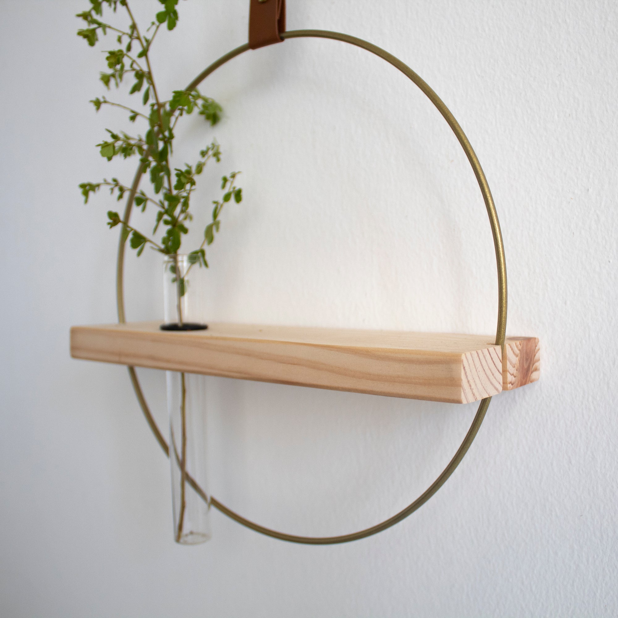 Propagating Shelf Gold