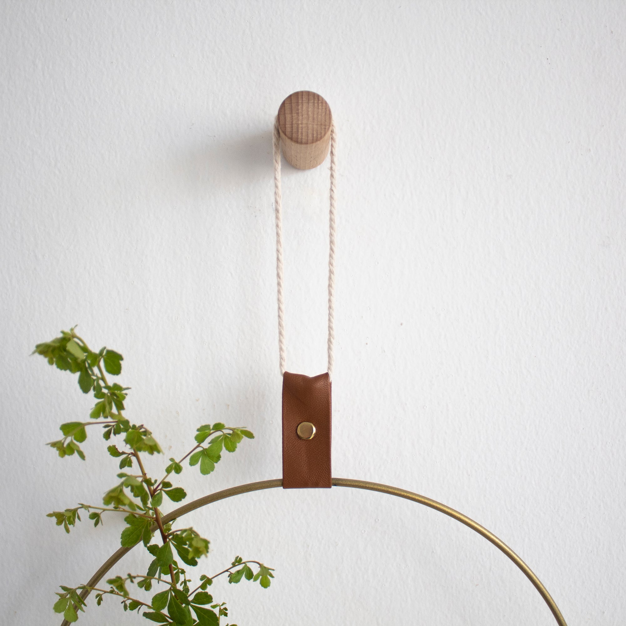 Propagating Shelf Gold