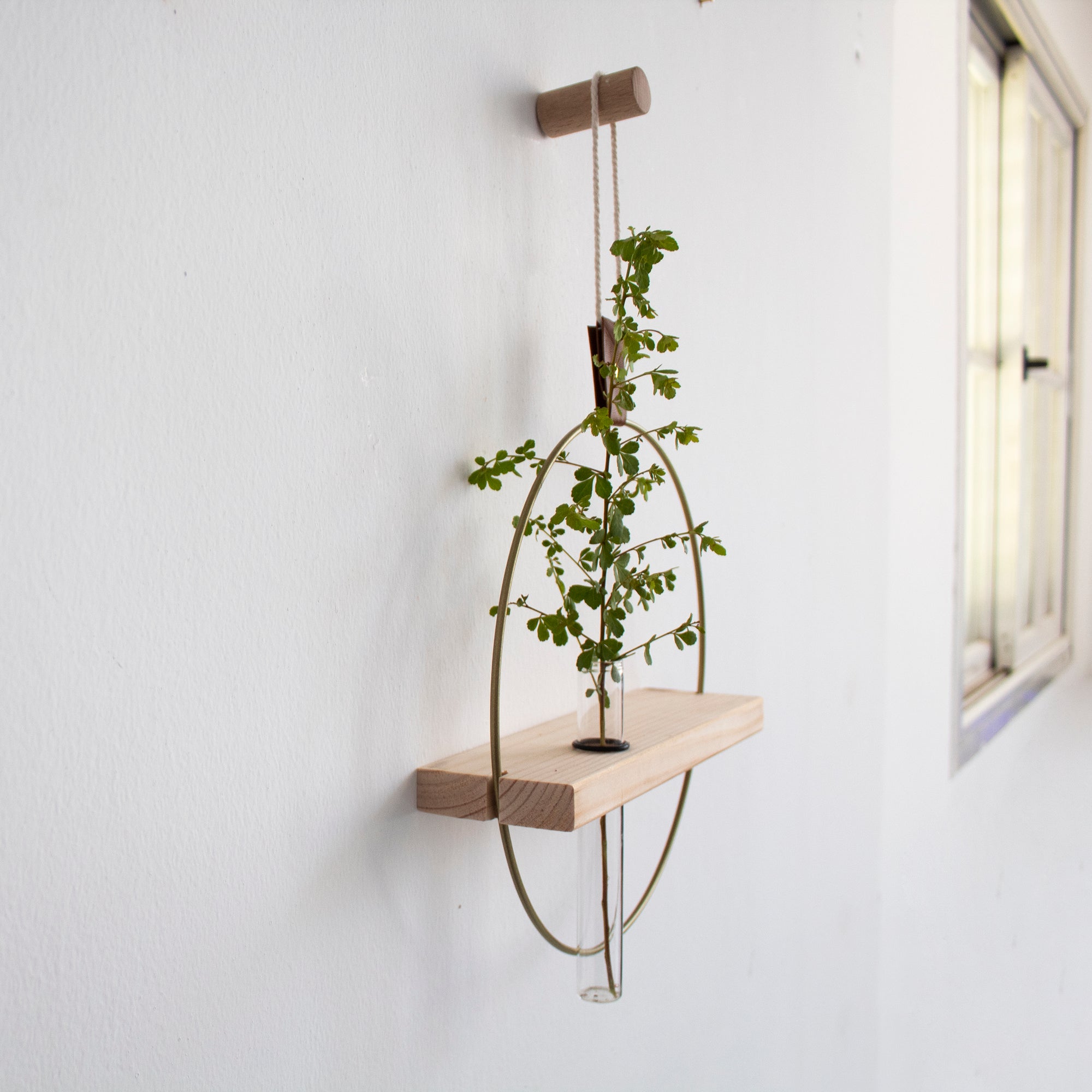 Propagating Shelf Gold