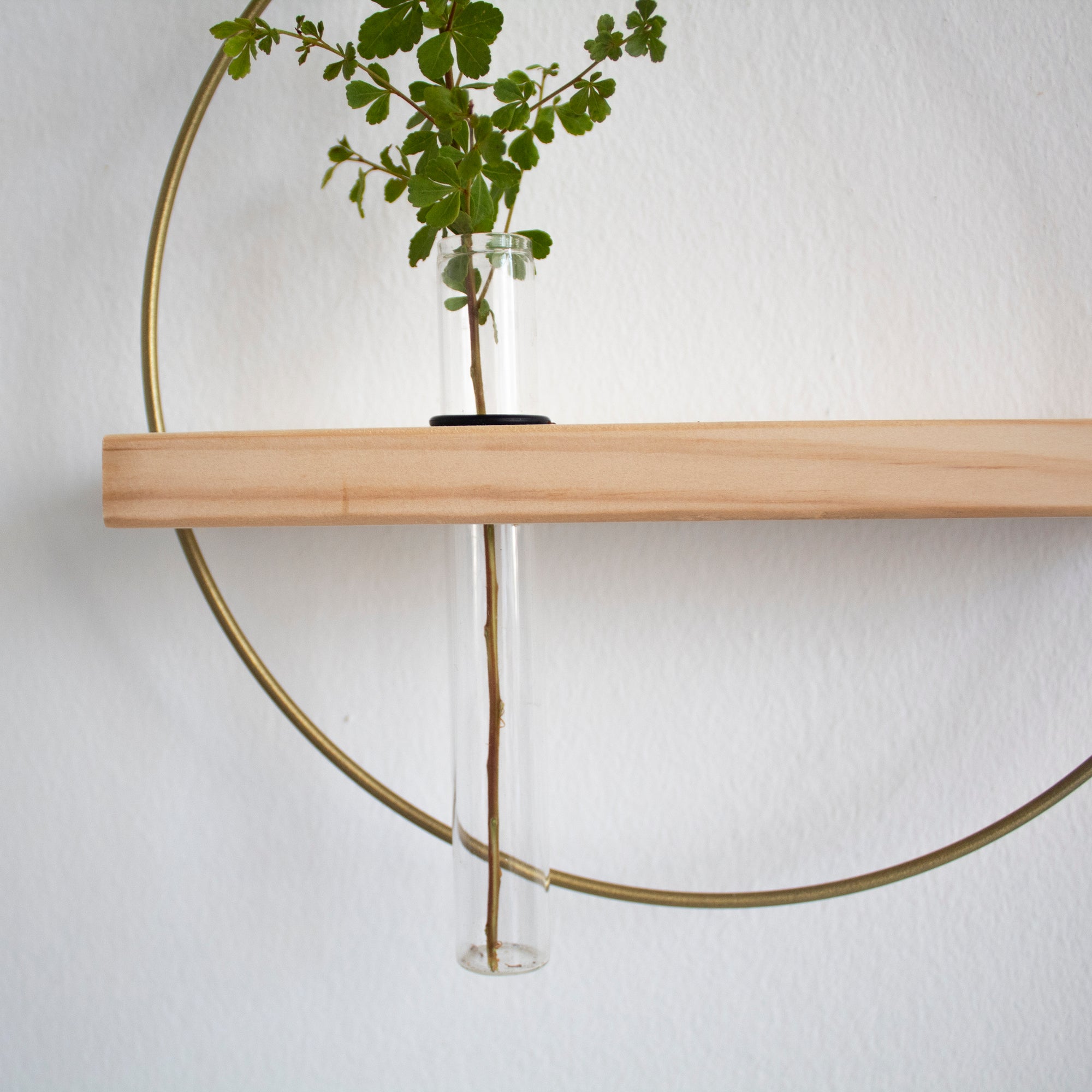 Propagating Shelf Gold