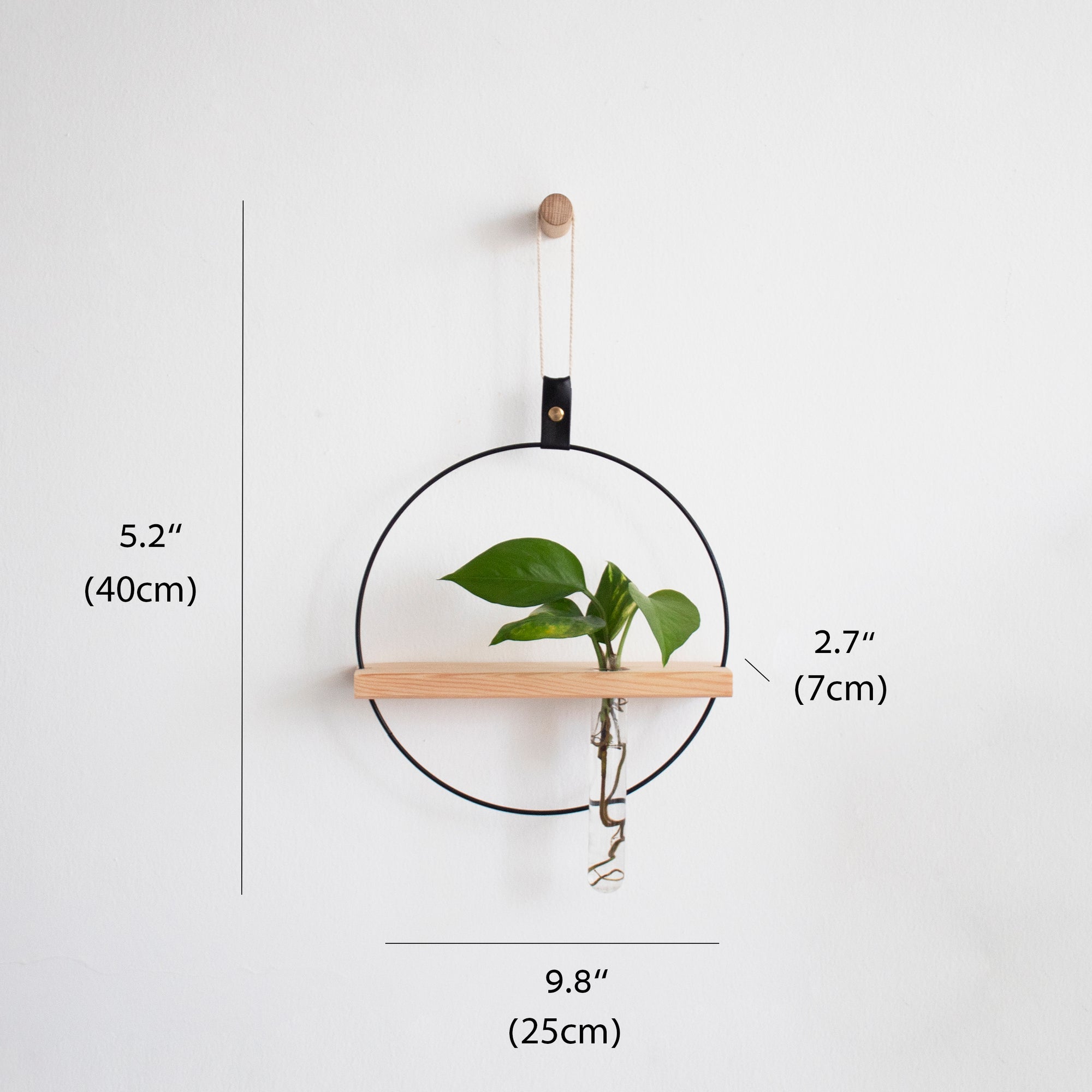 Propagating Shelf Black