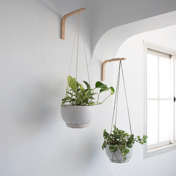  Collections Etc Outdoor Plant Hanging Hooks - Set of 6