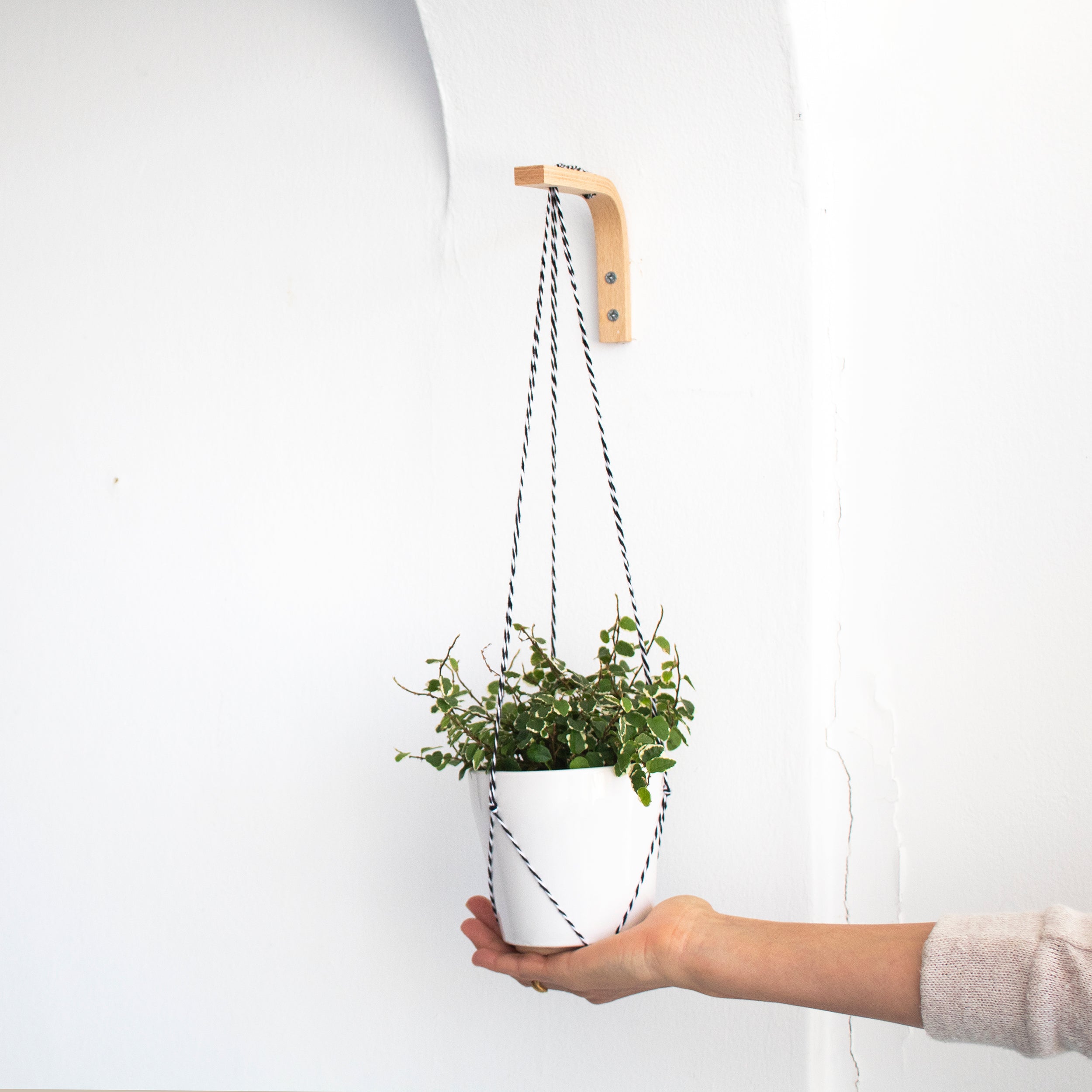 Copper Wire & Wood Plant Hanger - 3 Sizes – ShopTansy