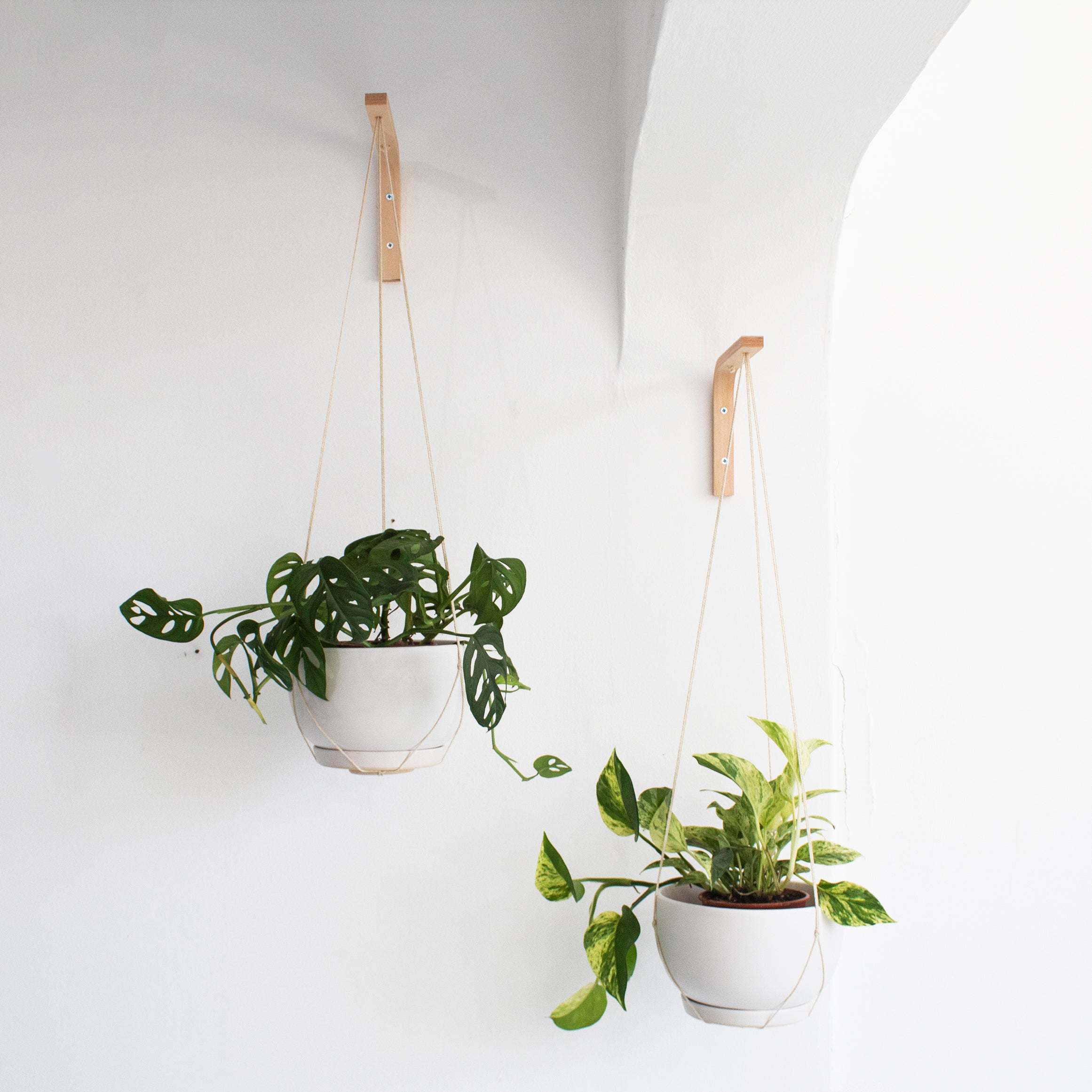  Collections Etc Outdoor Plant Hanging Hooks - Set of 6